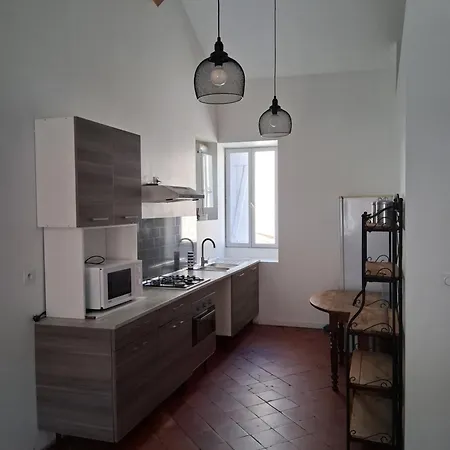 Chez Sylvie 公寓 卡尔卡松